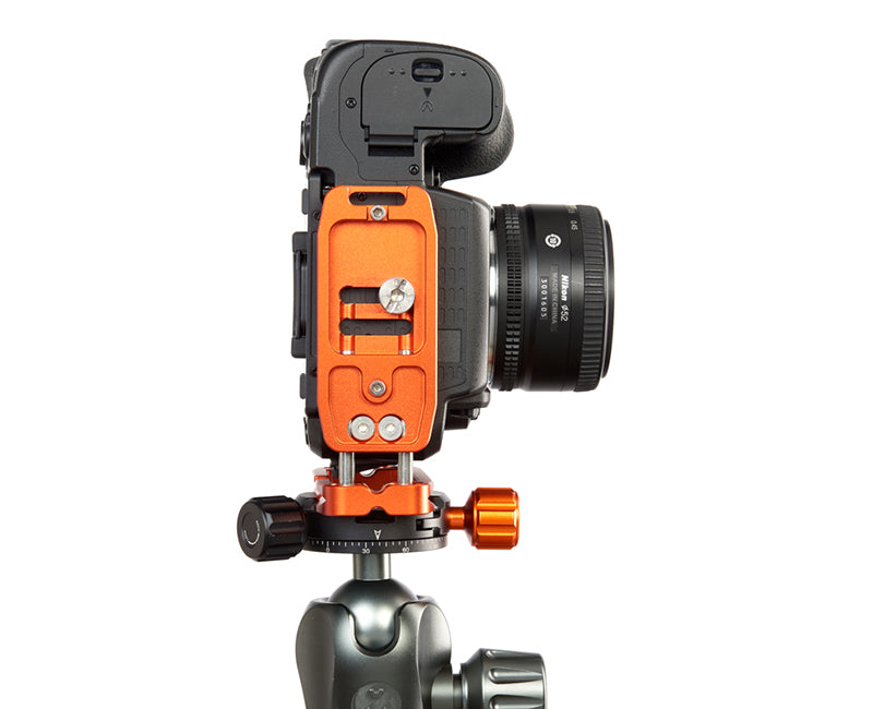 NIKON D3500 on Ellie - Underside view