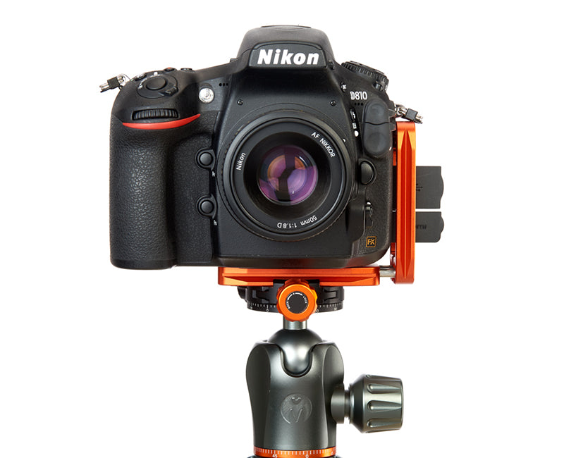 NIKON D3500 on Ellie - Front view