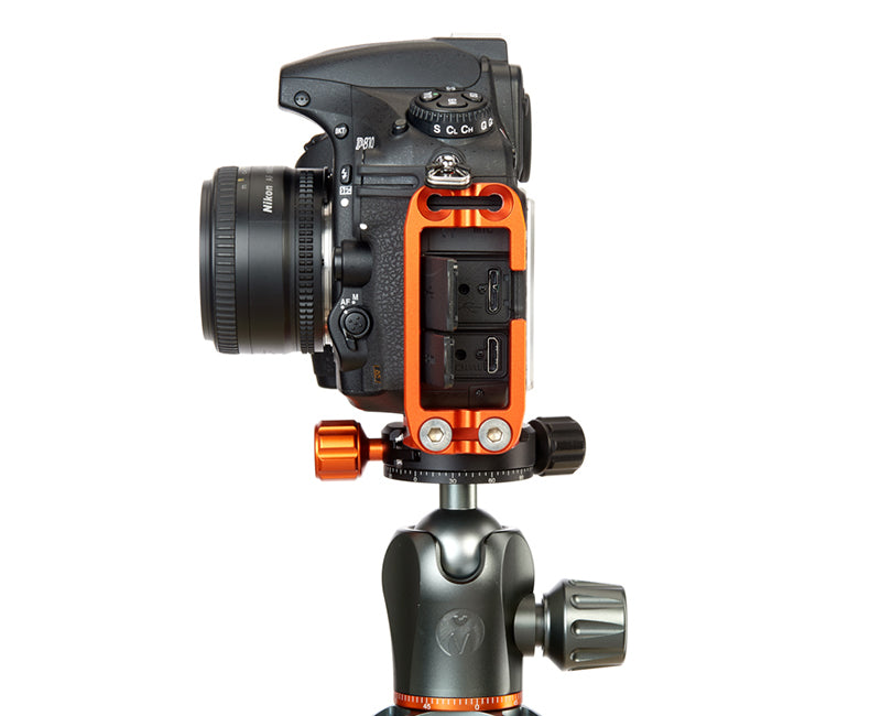 NIKON D3500 on Ellie - Side view