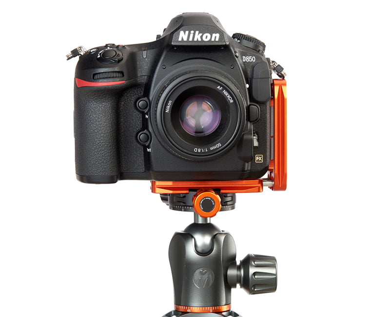 NIKON D3500 on Ellie - Front view