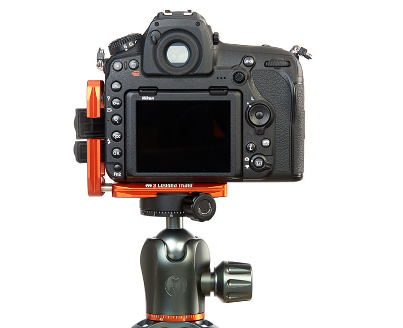 NIKON D3500 on Ellie - Rear view