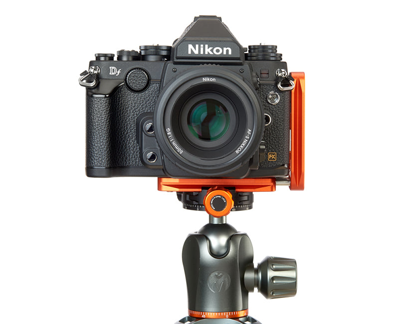 NIKON D3500 on Ellie - Front view