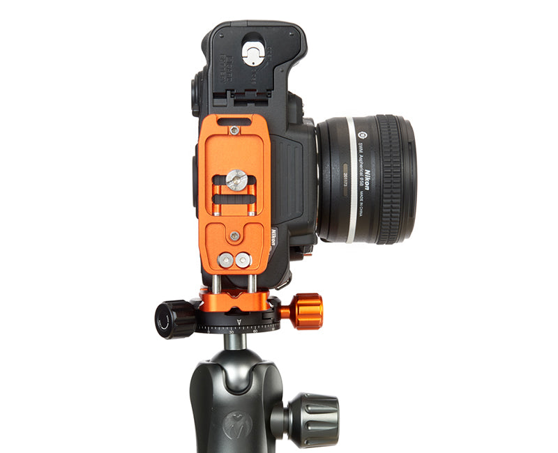 NIKON D3500 on Ellie - Underside view