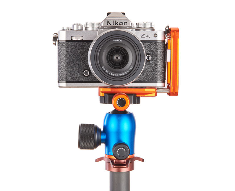 NIKON D3500 on Ellie - Front view