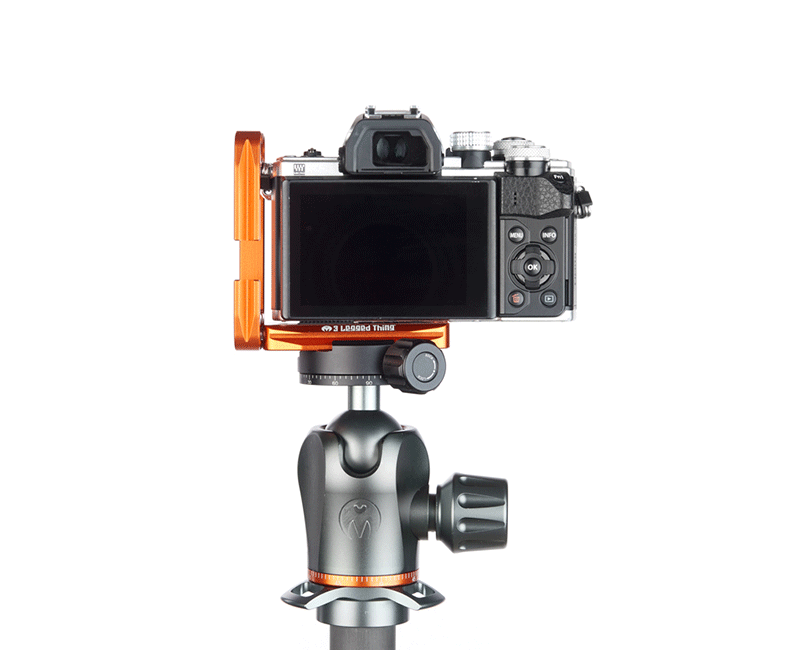 OLYMPUS E-M10 Mk 2 on Ellie Short - Rear view