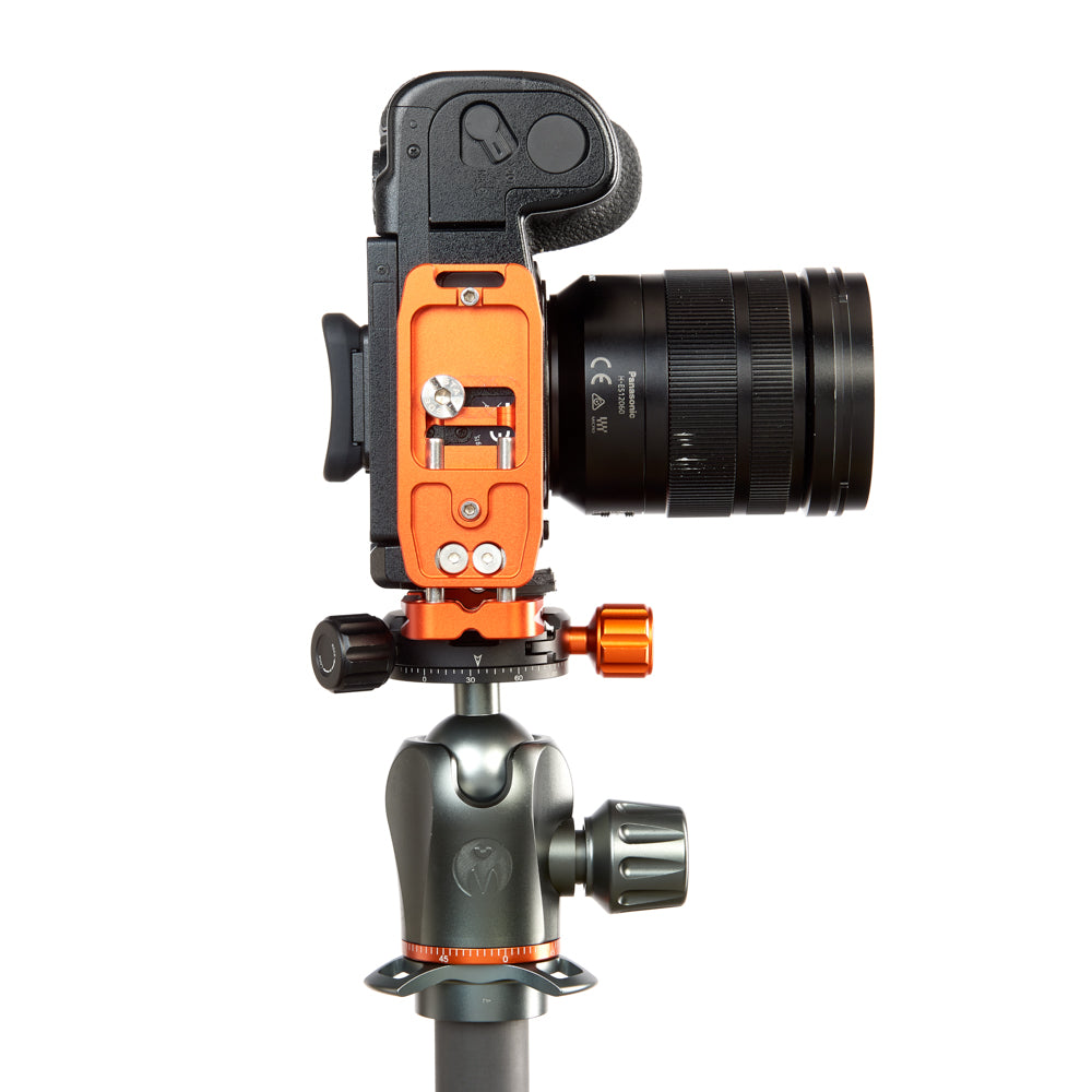 PANASONIC LUMIX G9 on Ellie - Underside view