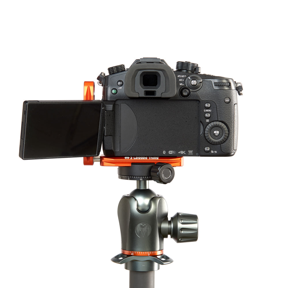 PANASONIC LUMIX GH5 on Ellie - Rear view