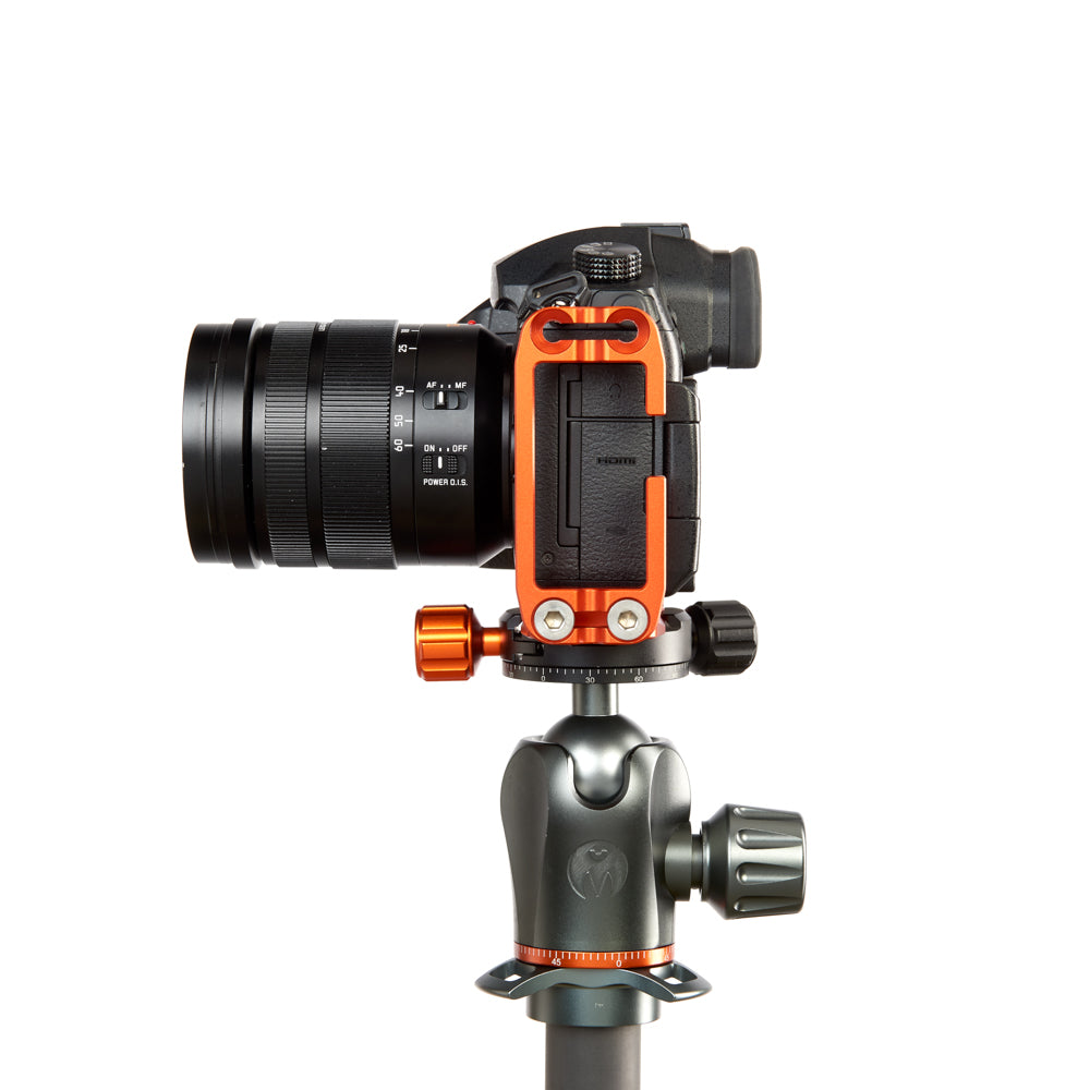 PANASONIC LUMIX GH5 on Ellie - Side view