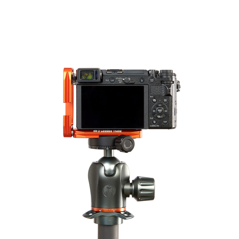 PANASONIC LUMIX GX9 on Ellie - Rear view