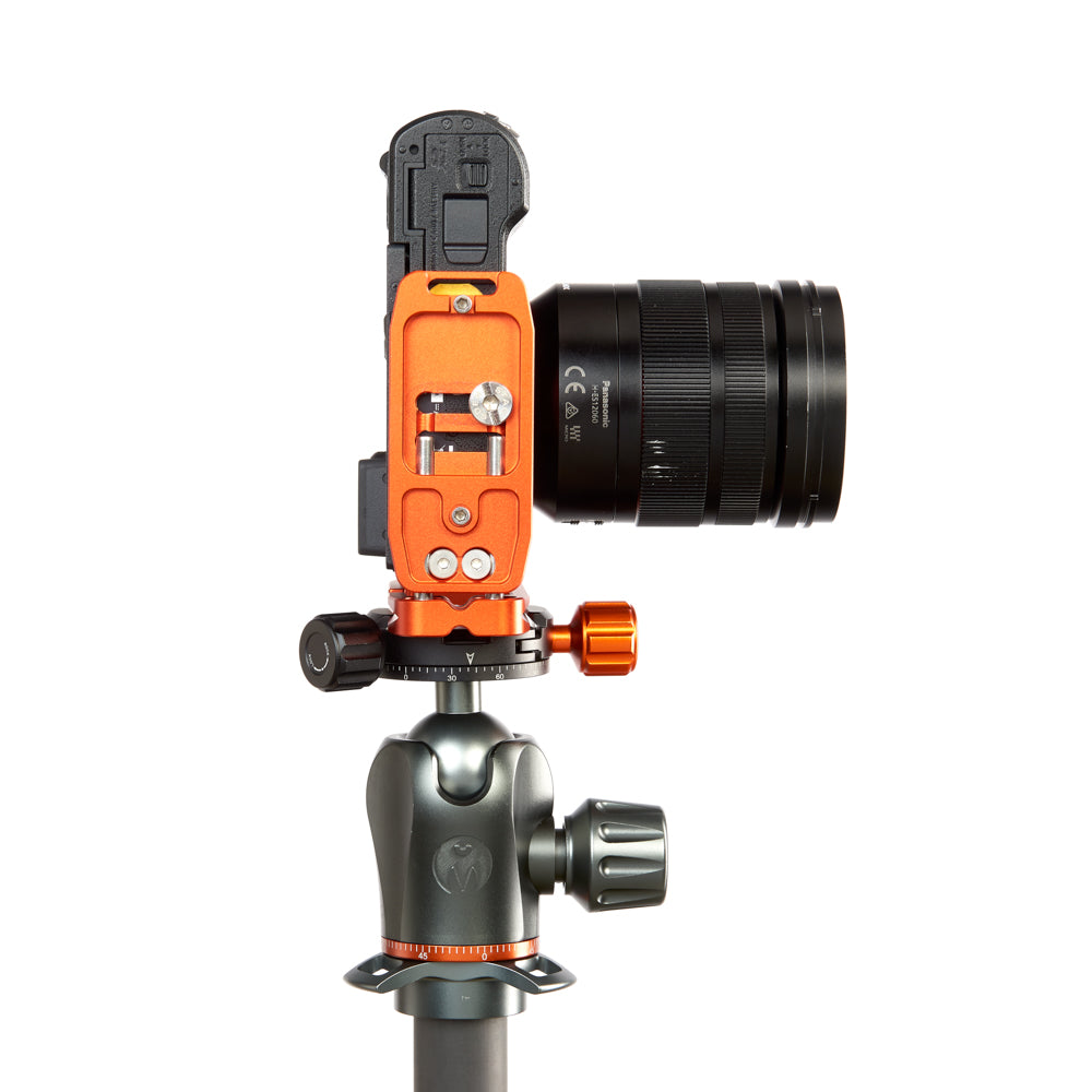 PANASONIC LUMIX GX9 on Ellie - Underside view