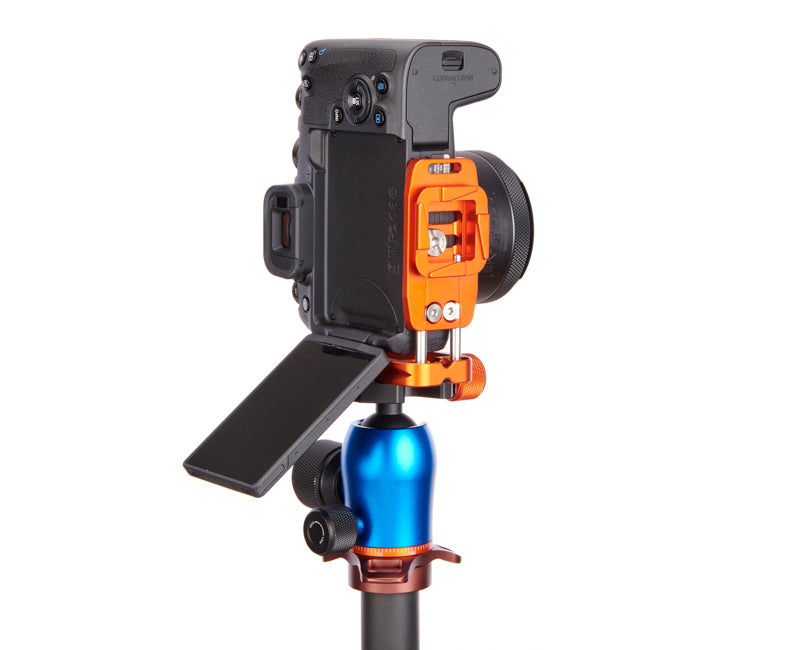 CANON RP on Ellie PD Short - Rear view