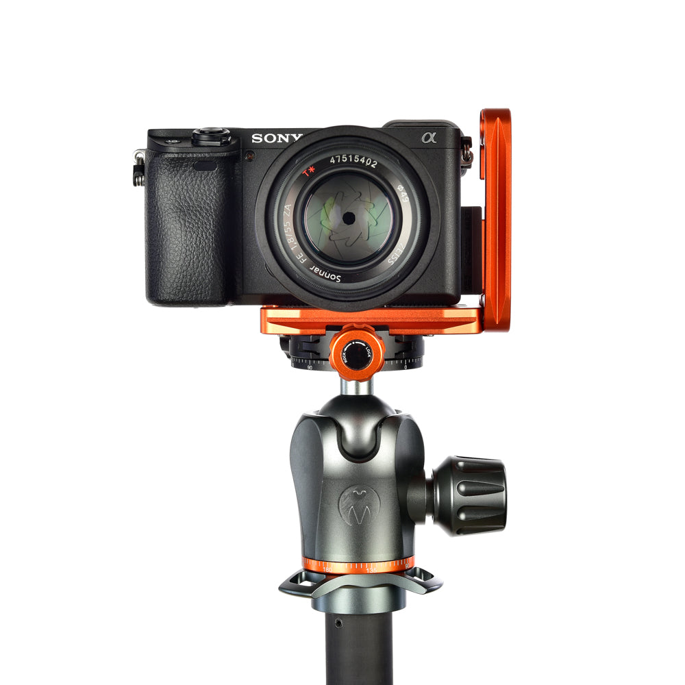 SONY A6400 on Ellie - Front view