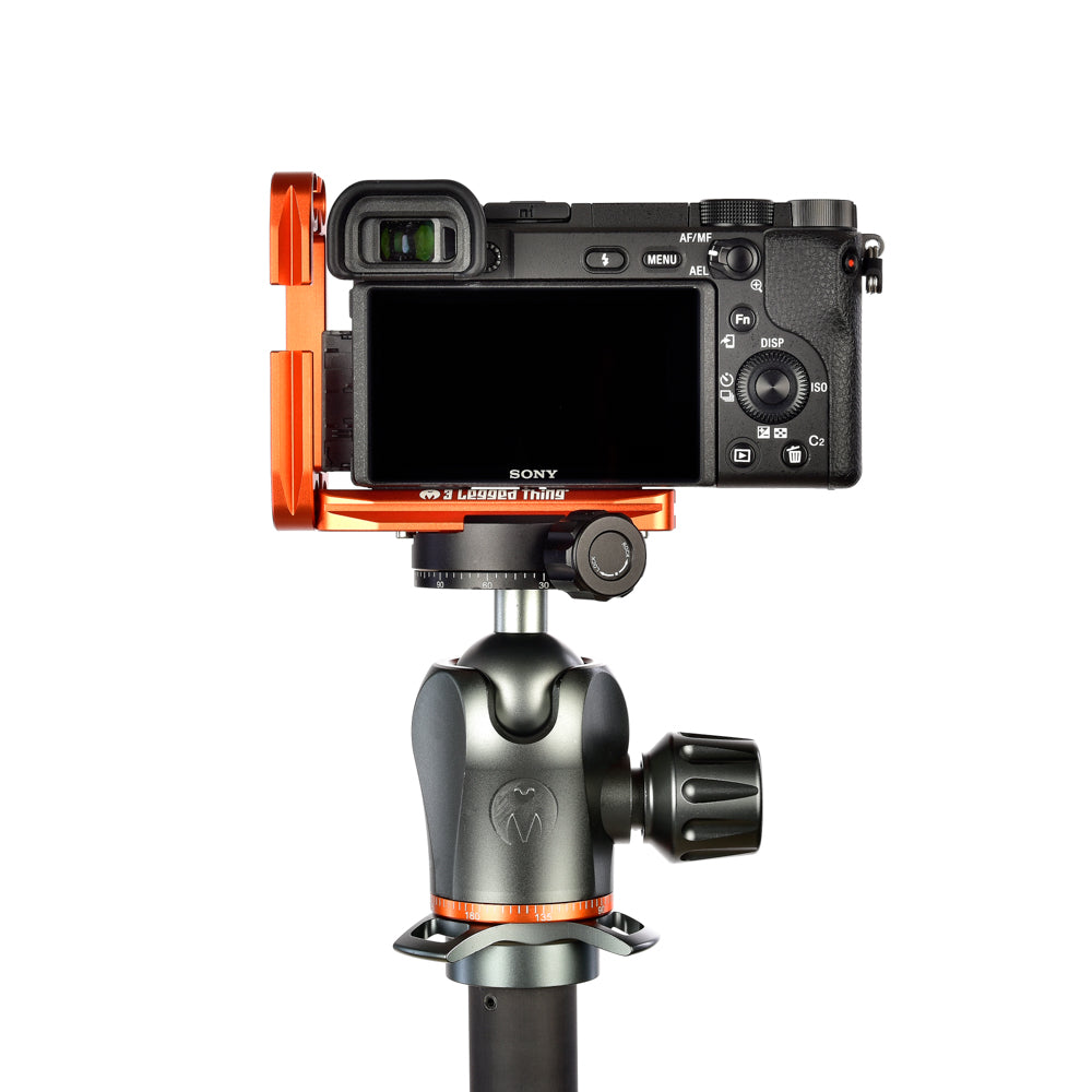 SONY A6400 on Ellie - Rear view