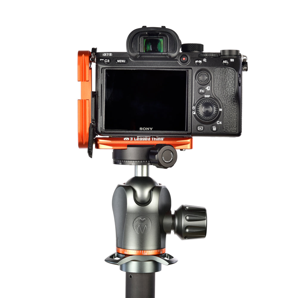 SONY A7 III on Ellie - Rear view