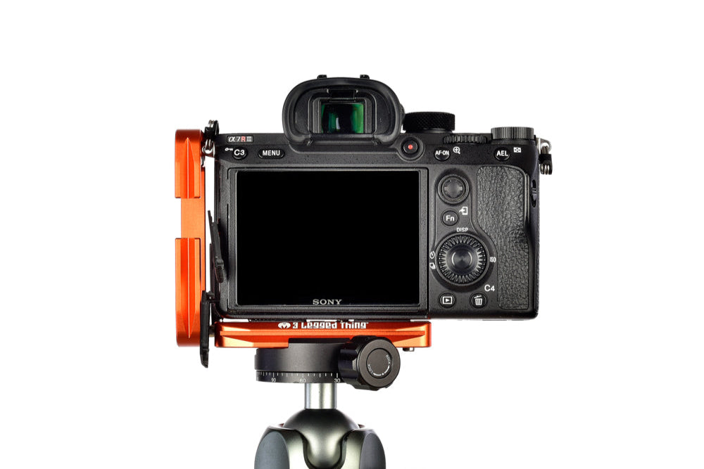 SONY A7R III on Ellie - Rear view