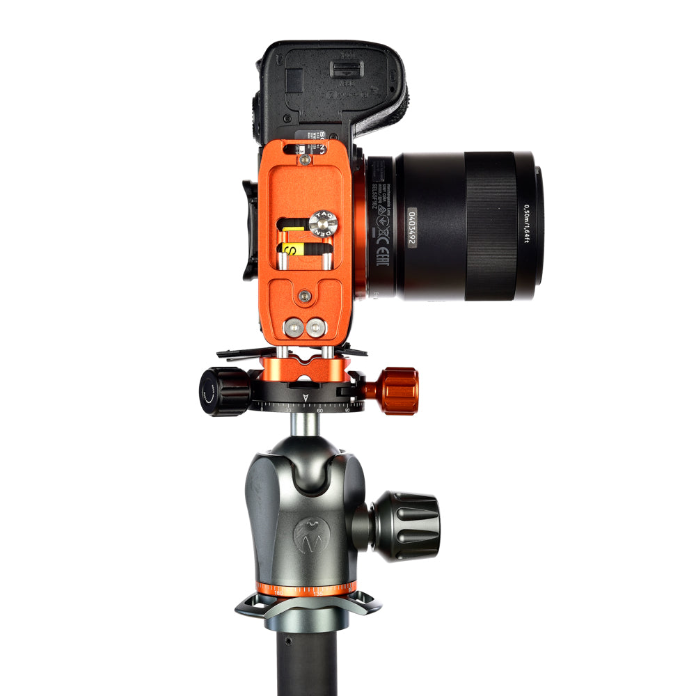 SONY A7R III on Ellie - Underside view