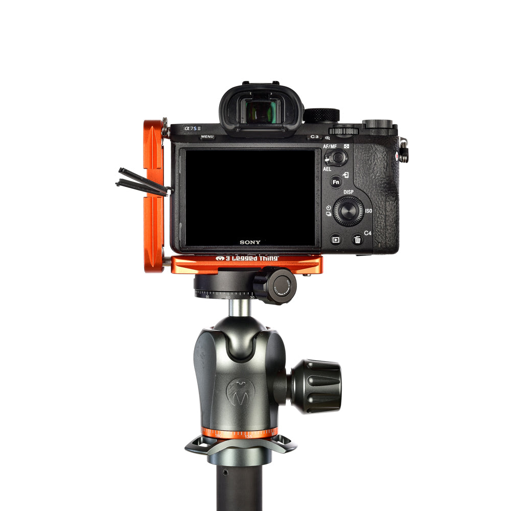 SONY A7S II on Ellie - Rear view