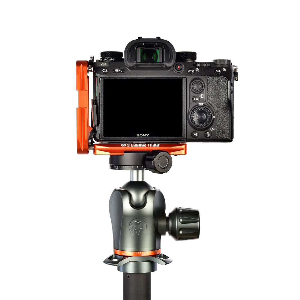 SONY A9 on Ellie - Rear view