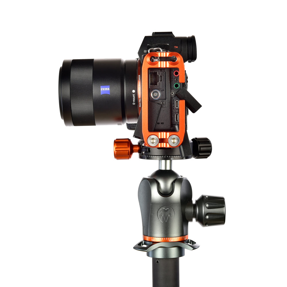 SONY A9 on Ellie - Side view