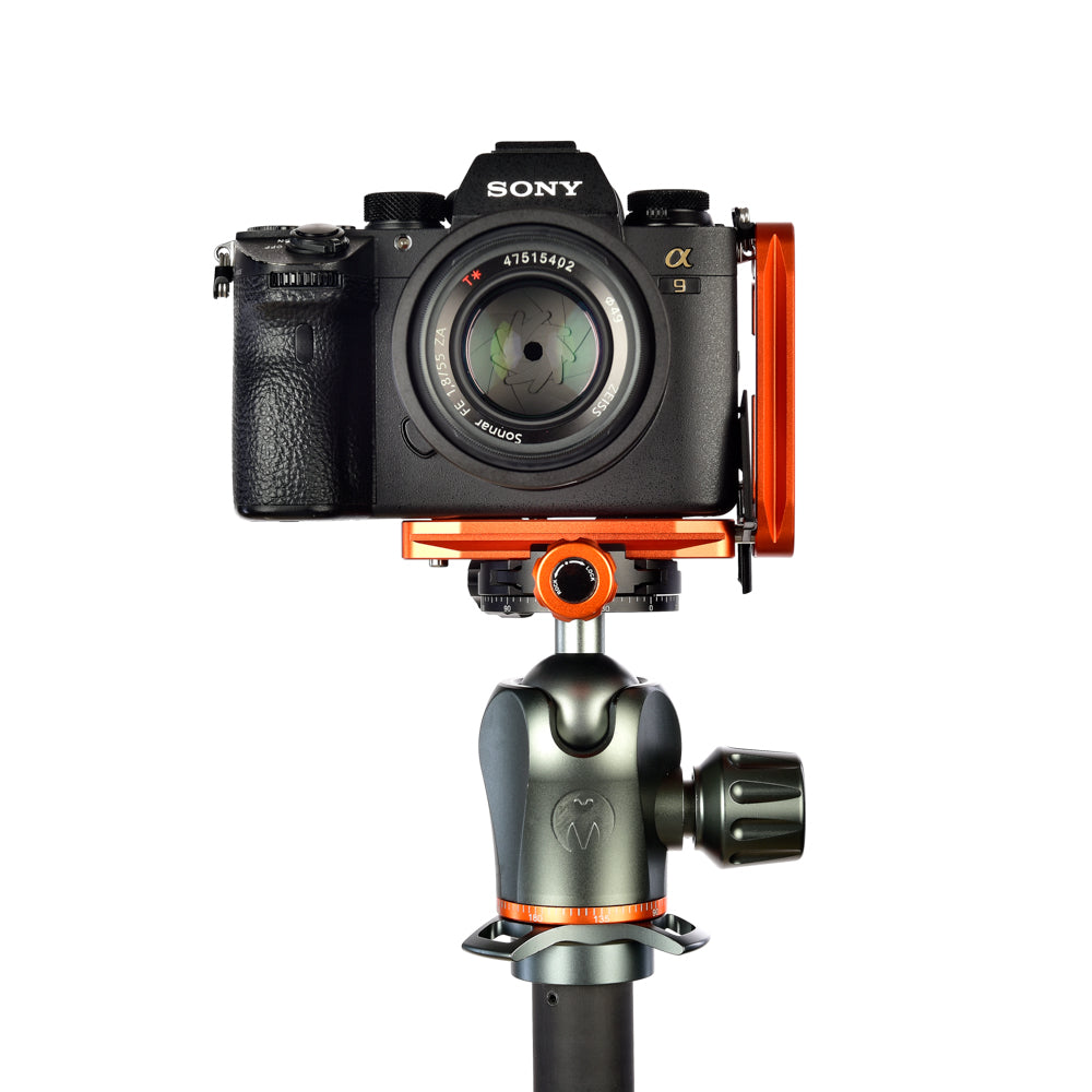 SONY A9 on Ellie - Front view