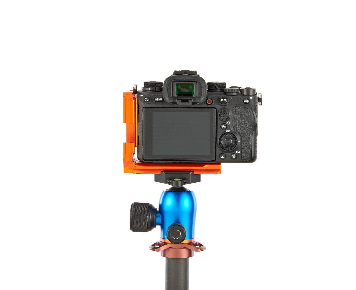 SONY ALPHA A1 on Alfie - Rear view