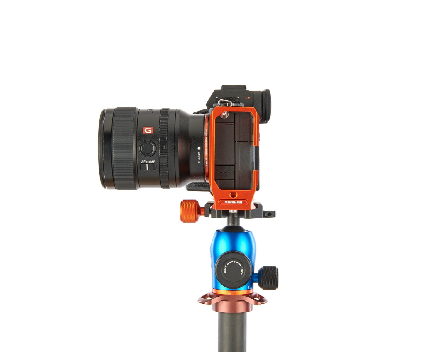 SONY ALPHA A1 on Alfie - Side view