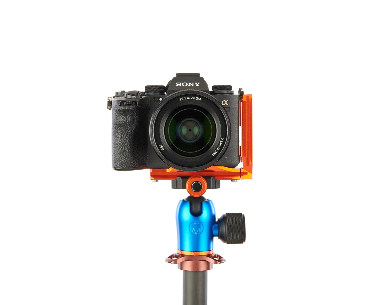 SONY ALPHA A1 on Alfie - Front view