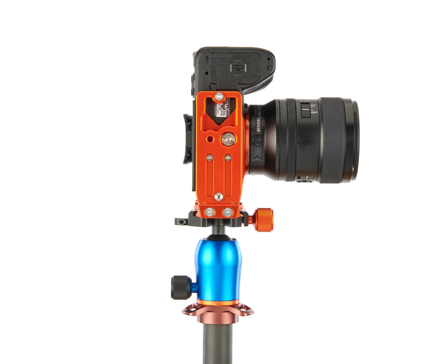 SONY ALPHA A1 on Alfie - Underside view