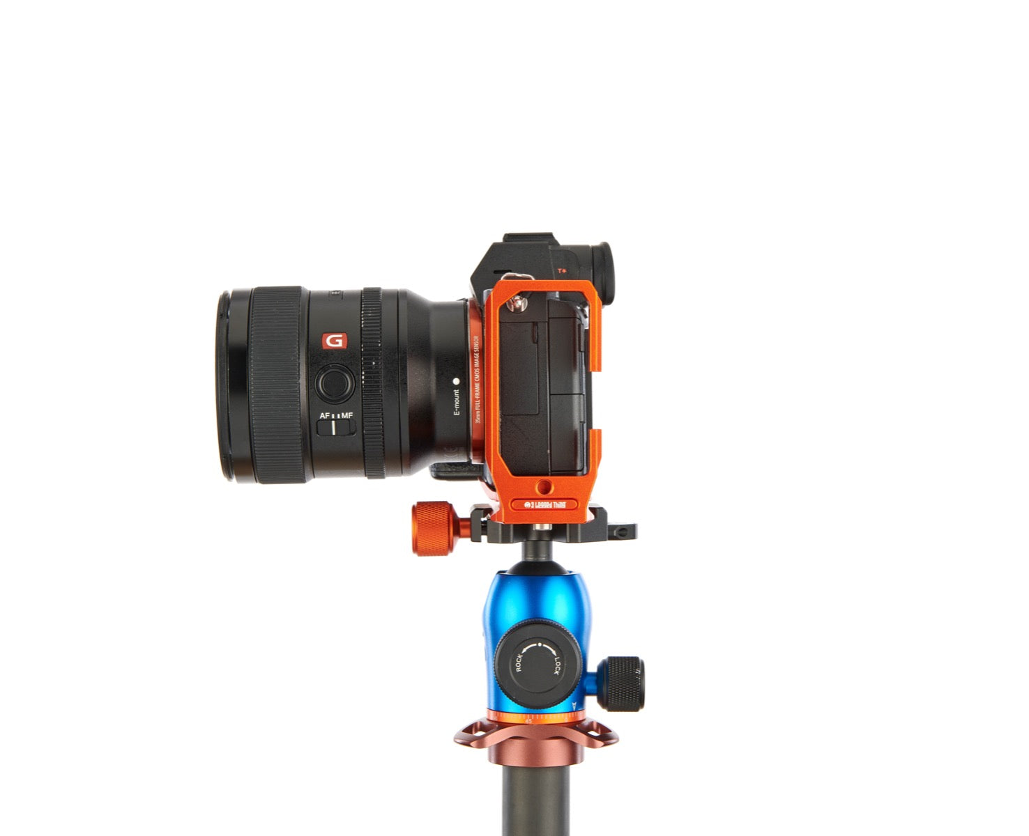 SONY ALPHA A7 III on Alfie - Side view