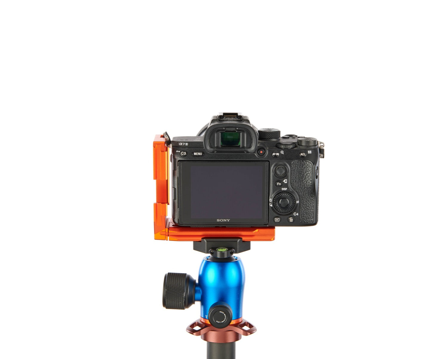 SONY ALPHA A7 III on Alfie - Rear view