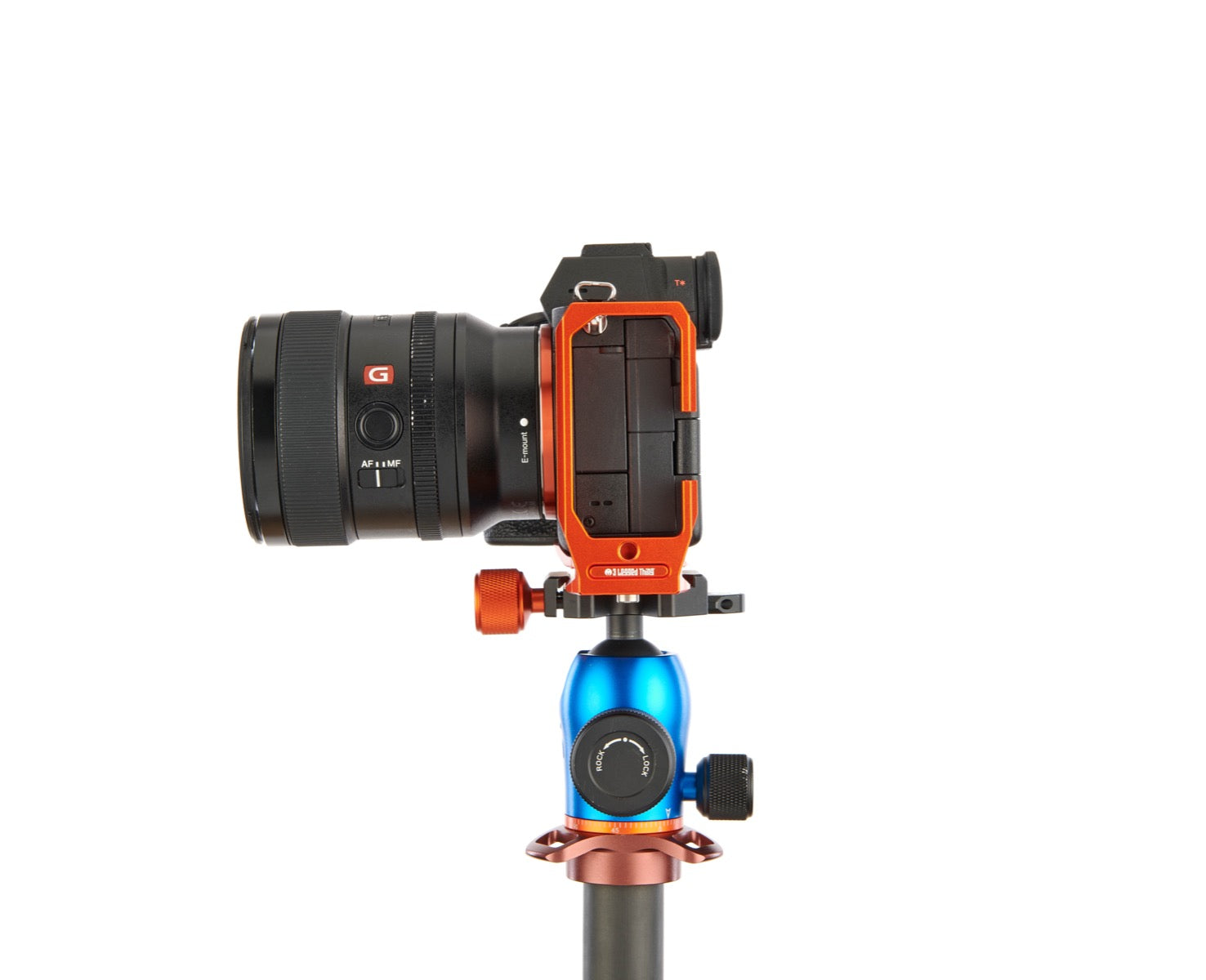 SONY ALPHA A7 IV on Alfie - Side view