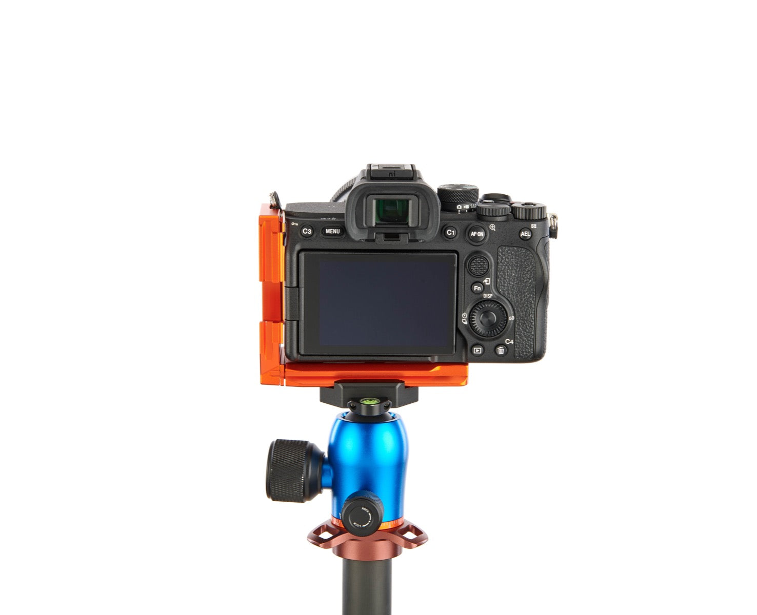 SONY ALPHA A7 IV on Alfie - Rear view