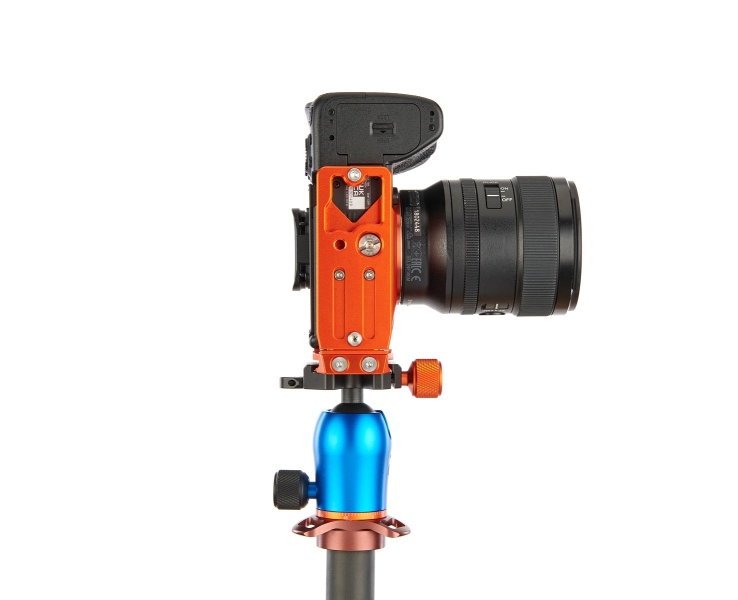 SONY ALPHA A7 IV on Alfie - Underside view