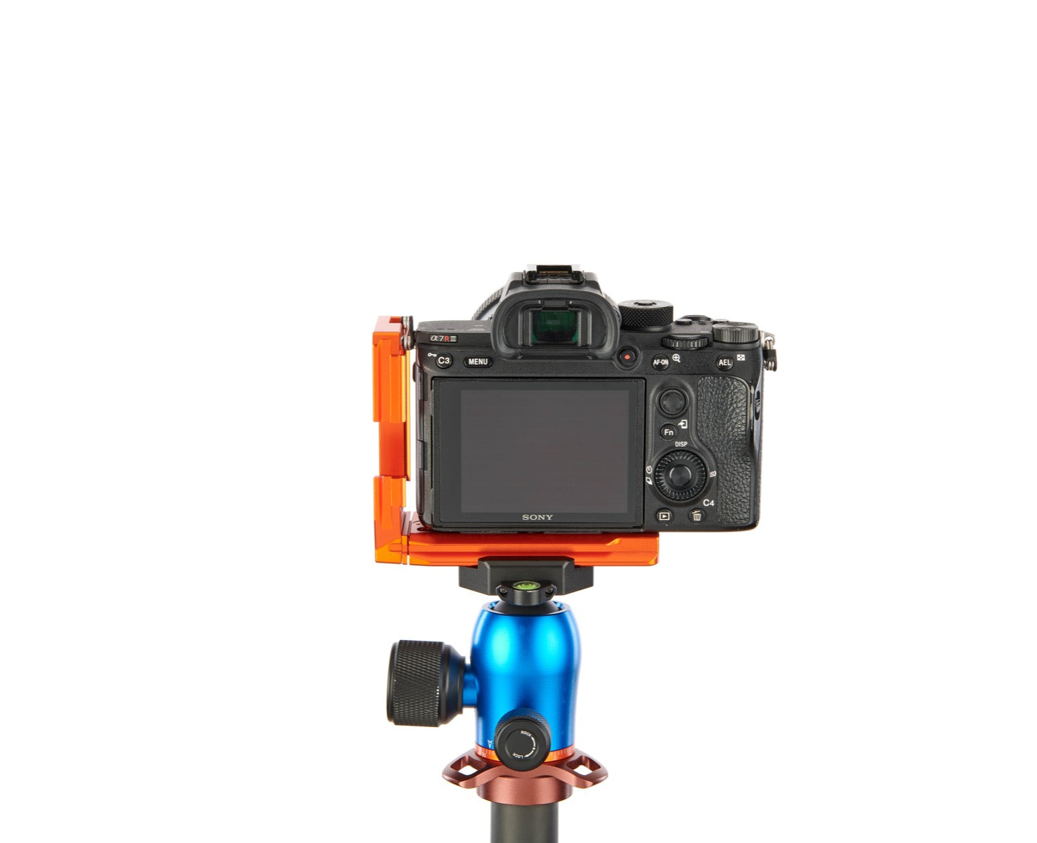 SONY ALPHA A7R III on Alfie - Rear view