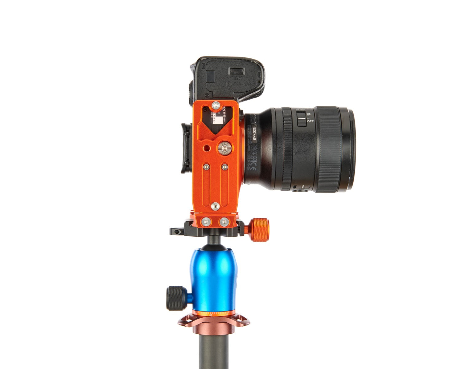 SONY ALPHA A7R III on Alfie - Underside view