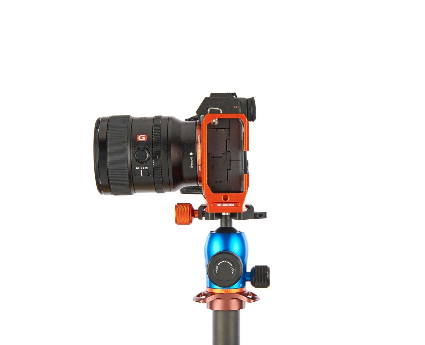 SONY ALPHA A7R IV on Alfie - Side view