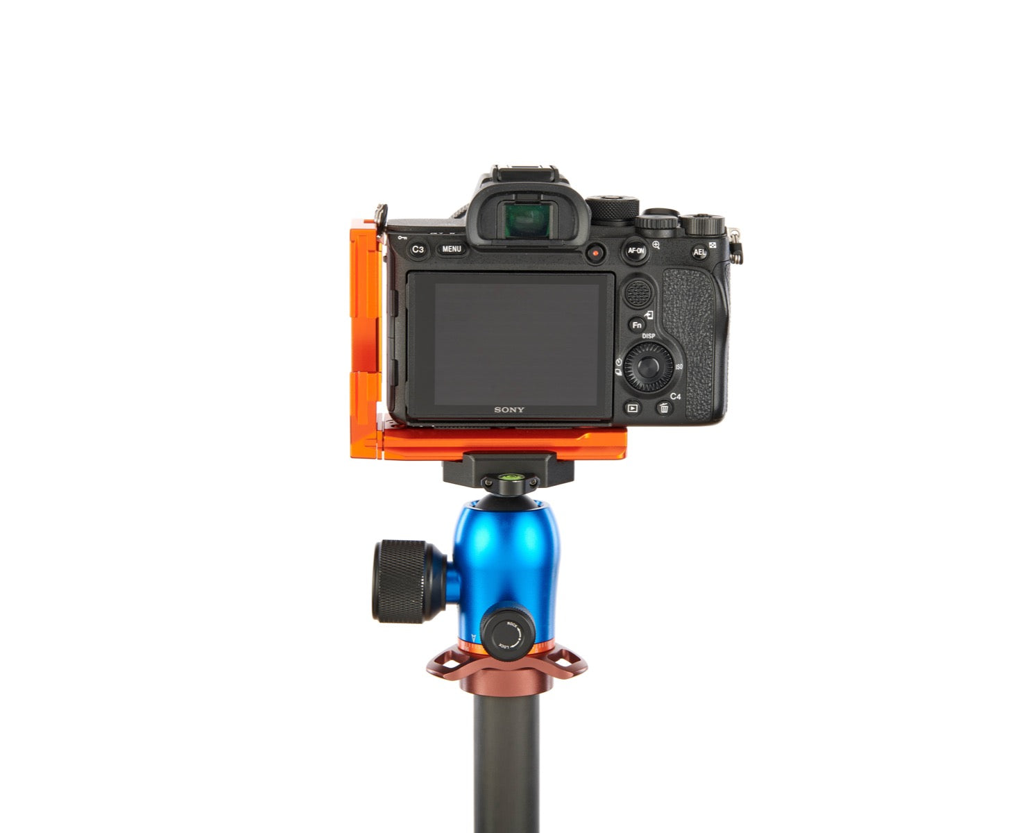 SONY ALPHA A7R IV on Alfie - Rear view