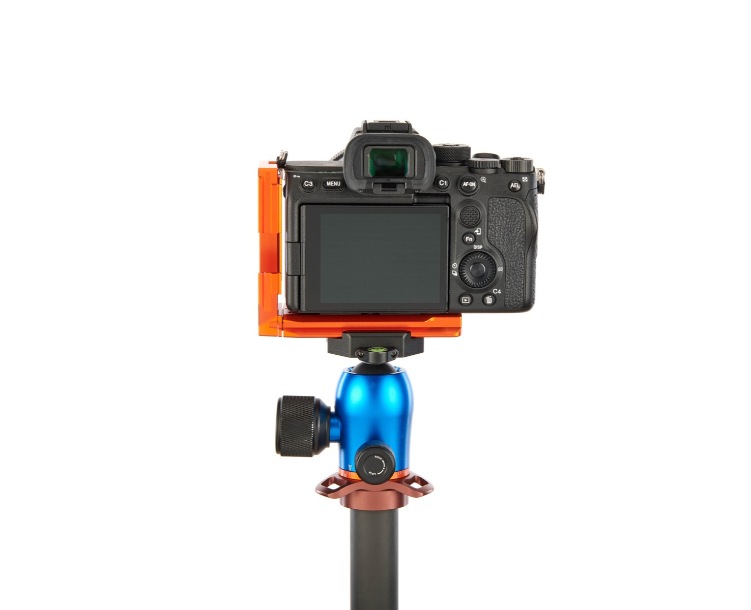 SONY ALPHA A7S III on Alfie - Rear view