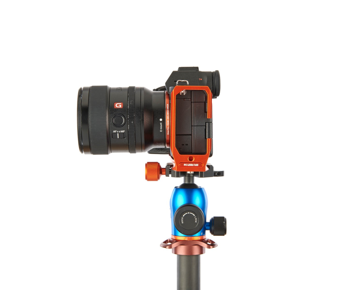 SONY ALPHA A7S III on Alfie - Side view