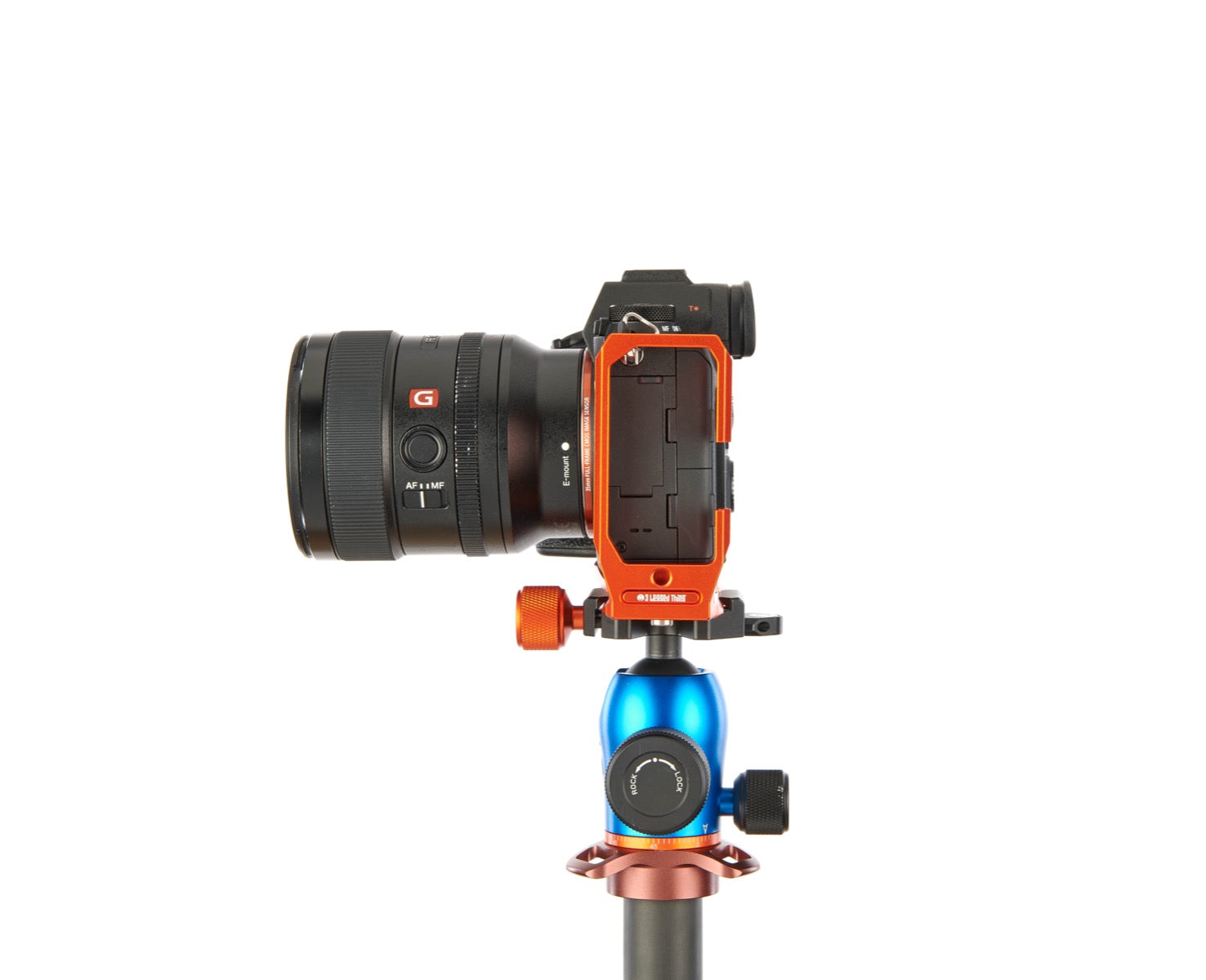 SONY ALPHA A9 II on Alfie - Side view