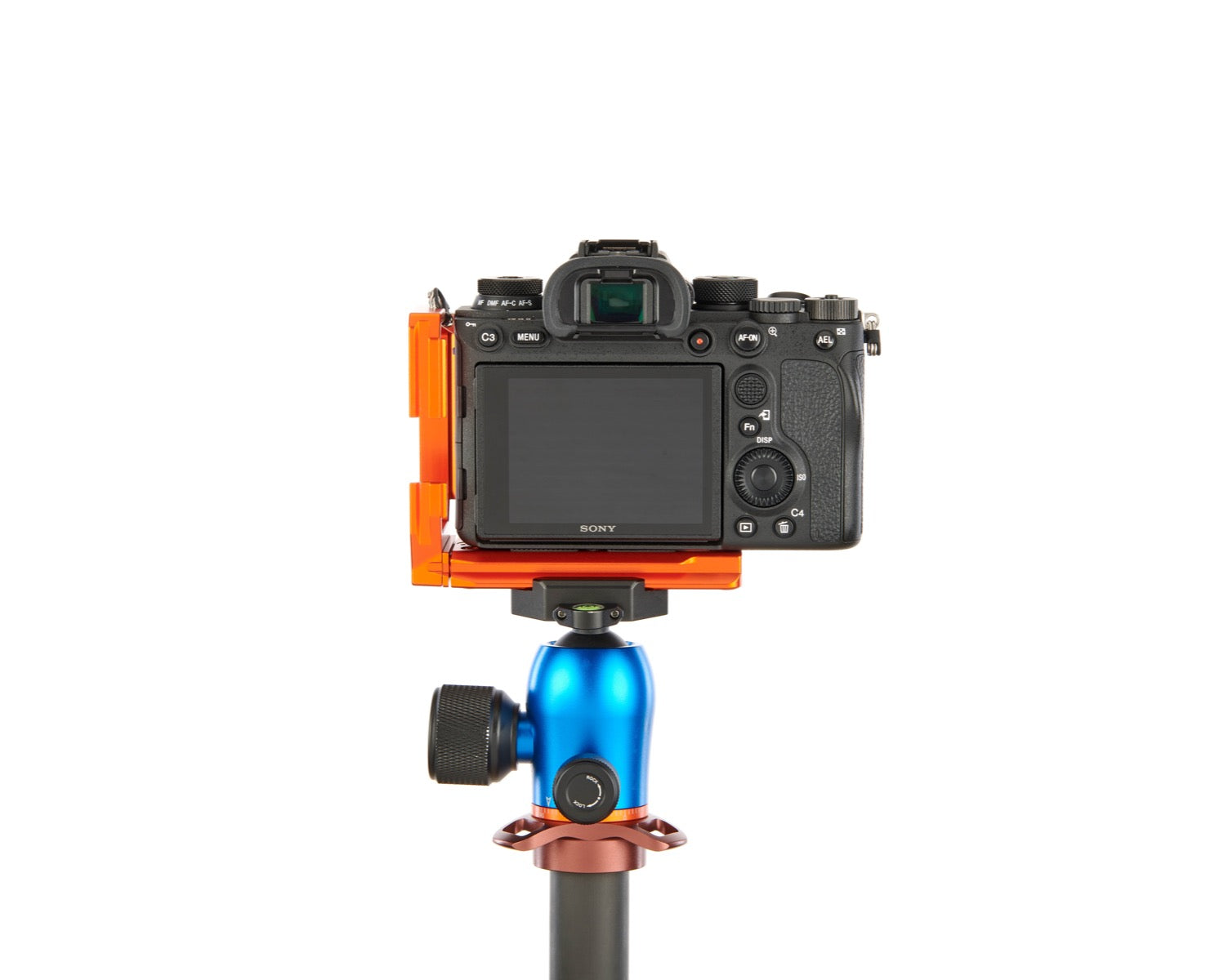 SONY ALPHA A9 II on Alfie - Rear view