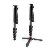 Alana options in Darkness