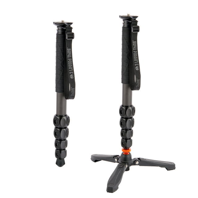 Alana options in Darkness