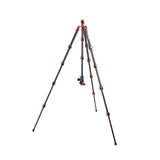 Albert 2.0 Carbon Fibre Variable Height Travel Tripod