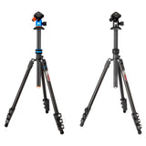 Patti 2.0 colour options, blue or darkness