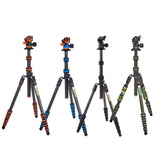 Punks 2.0 Brian colour options