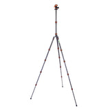 PUNKS Brian 2.0 Tripod System