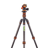 Punks Brian 2.0 Video Kits