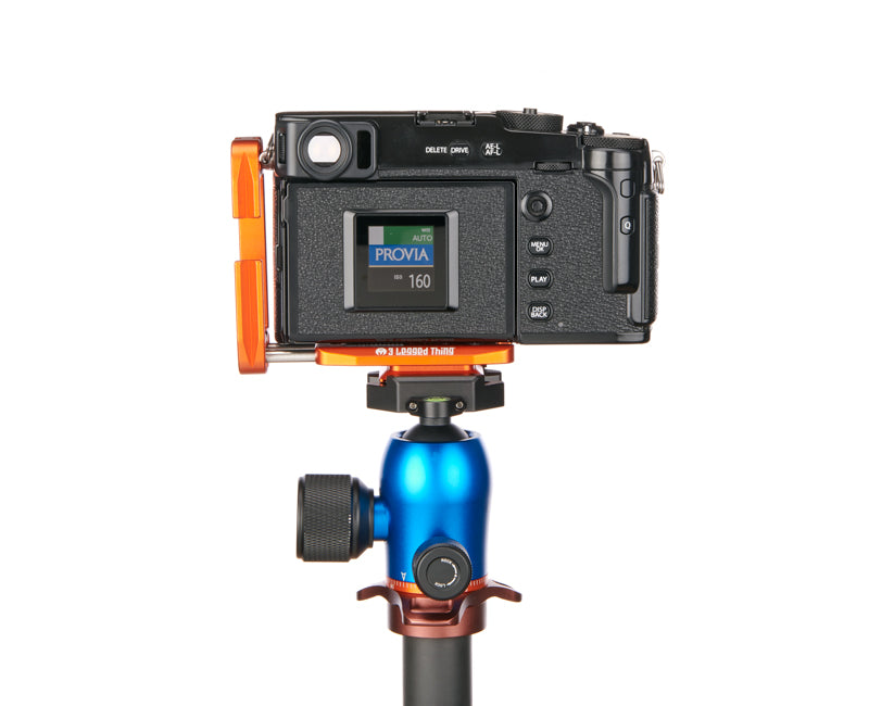 FUJIFILM X PRO 3 on Ellie PD Short - Rear view